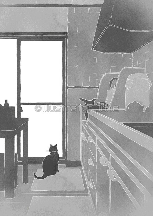 台所の猫