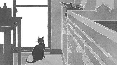 台所の猫 〈個人作品〉